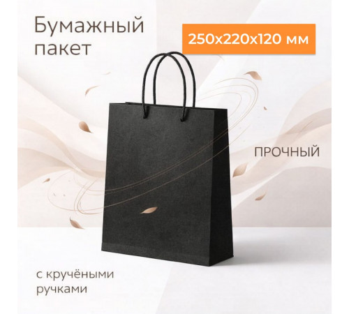 Пакет бумажный с круч. ручками 250*220*120 черный
