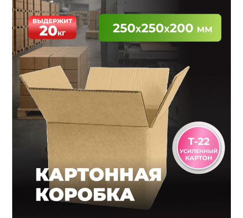 Коробка картонная 250*250*200 Т22