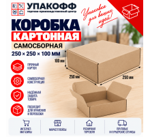 Коробка картонная самосборная 250*250*100мм СП ЧЛБ