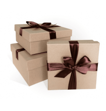 Коробка подарочная 19*19*9 с бантом КРАФТ бант шоколадный (3/5)